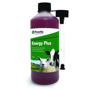 Provita Energy Plus - 1 Lt