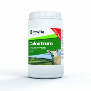 Provita Lamb Colostrum - 500 Gm
