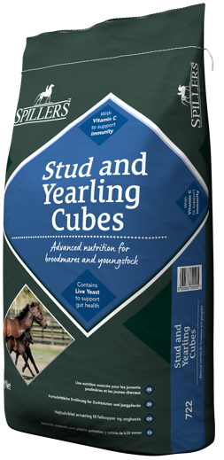 spillers stud and yearling cubes