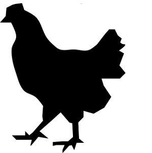 Poultry Wormers and Medication