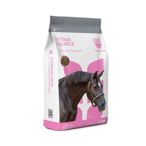 Saracen Veteran Balancer