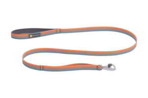 Front Range Leash - Spring Fade