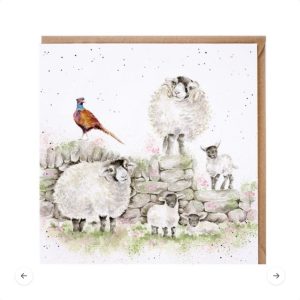 Green Pastures Illustrated Sheep Card
