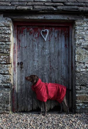 Drying Robe Claret Dog Coats Drying Robe Claret
