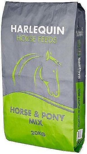 Harlequin Horse and Pony Mix