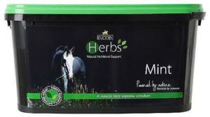 Lincoln-Herbs-Mint