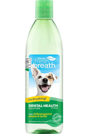 Dental-Health-Solution