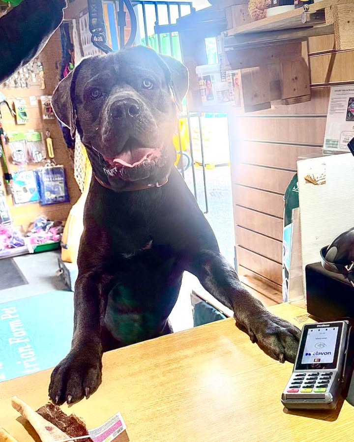 HoofsandPaws - Food4Paws