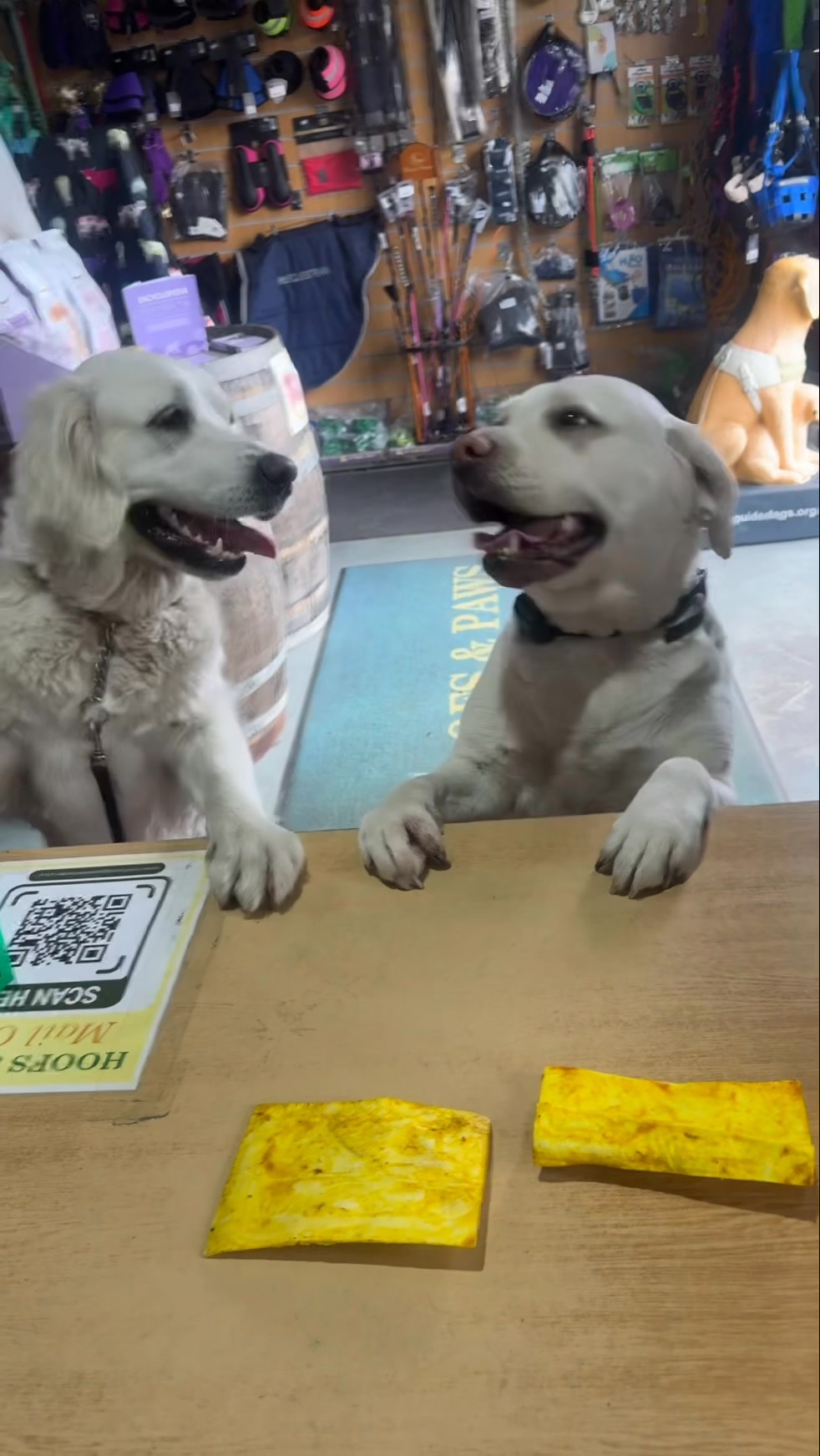 HoofsandPaws - Food4Paws