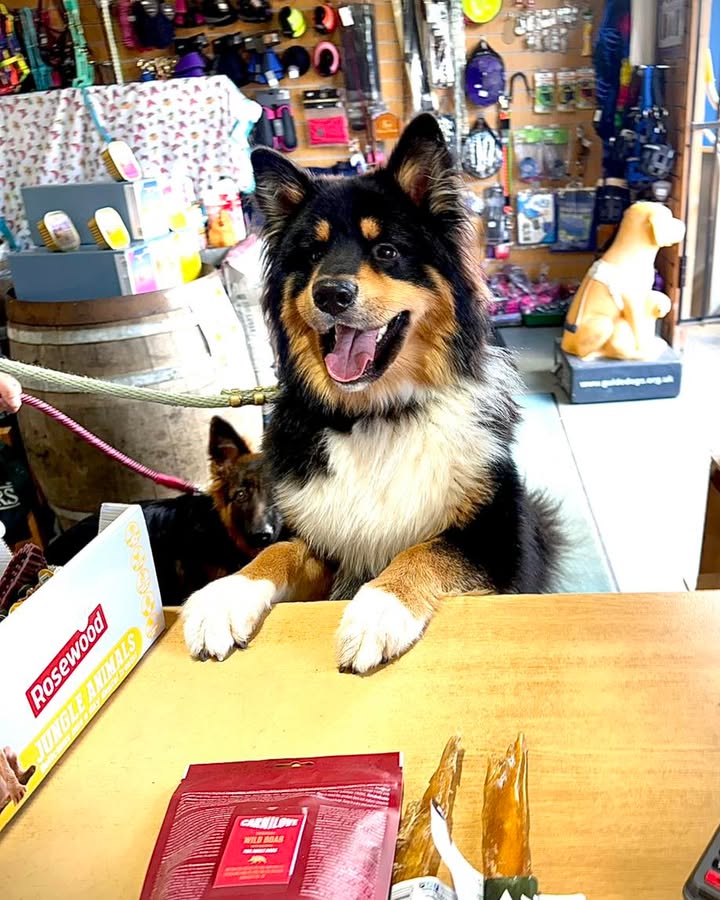 HoofsandPaws - Food4Paws
