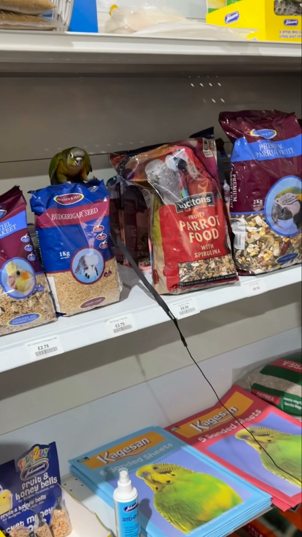 HoofsandPaws - Food4Paws