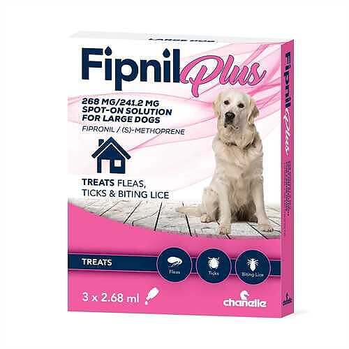 fipnil large dogs