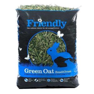 friendly green oat readigrass