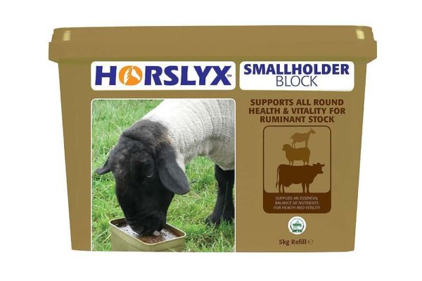 Horslyx Smallholder Block - 5 Kg