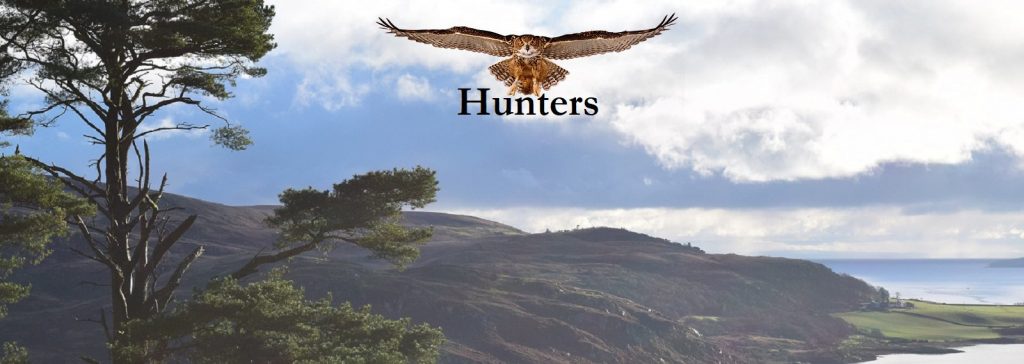 hunters pet foods
