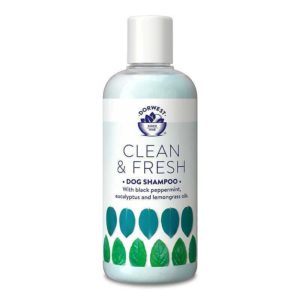 clean fresh shampoo
