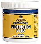 carr day martin Protection Plus
