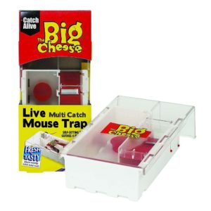 The Big Cheese small Live Multi Catch Mouse Trap